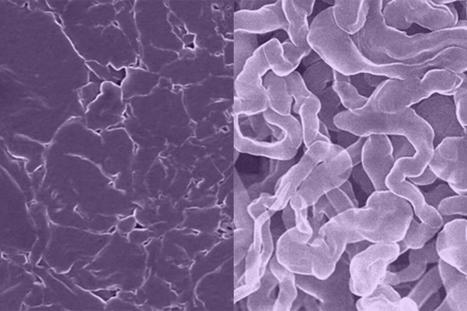 Sodium-based material yields stable alternative to lithium-ion batteries | Amazing Science | Scoop.it