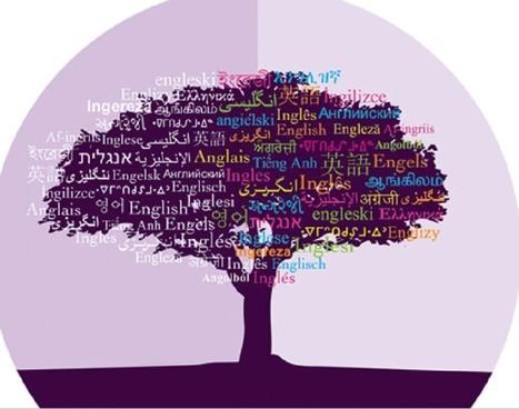 UDL Accommodations: ELL Student | UDL - Universal Design for Learning | Scoop.it