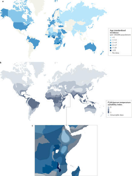 Burkitt lymphoma | Nature Reviews Disease Primers | Hematology | Scoop.it