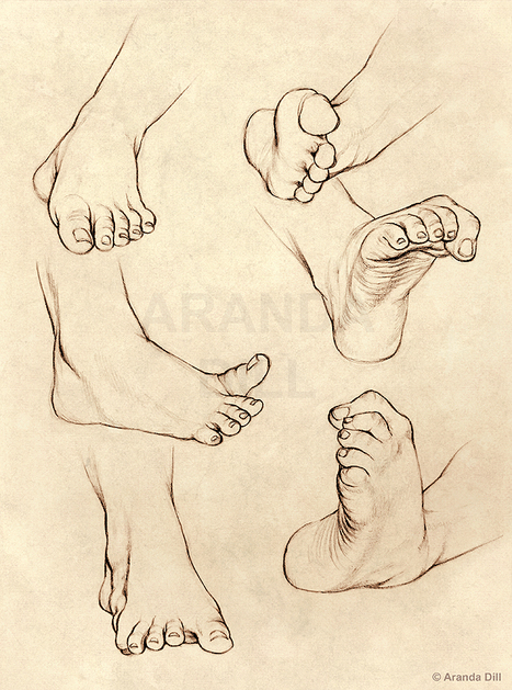 foot reference