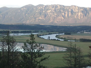 Forest Service grants $52.2M to protect working forests, rural economies | Timberland Investment | Scoop.it