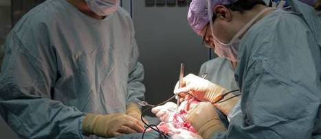Strasbourg : première implantation d'un larynx artificiel chez un homme | @ZeHub | Scoop.it