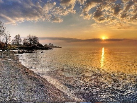 What We Do to Nature We Do to Ourselves | P2P Foundation | Peer2Politics | Scoop.it