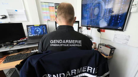 Cybermalveillance : alerte, en Deux-Sèvres, à l'escroquerie dite "au support technique" ... | Renseignements Stratégiques, Investigations & Intelligence Economique | Scoop.it