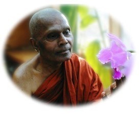 Mindfulness In Plain English | Mindfulness & The Mindful Leader | Scoop.it