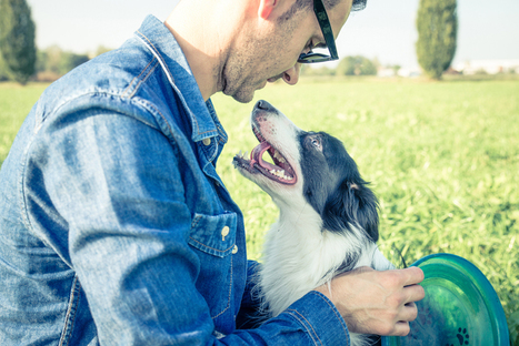 What You Can Do to Prevent Compassion Fatigue | Empathy and Animals | Scoop.it