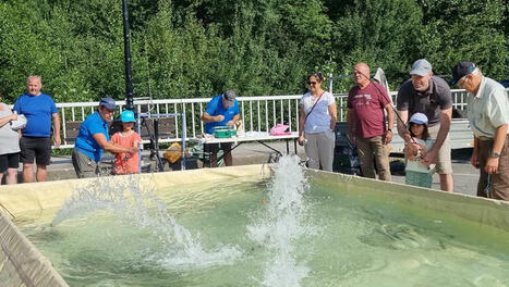 Saint-Lary-Soulan. La pêche dès le plus jeune âge | Vallées d'Aure & Louron - Pyrénées | Scoop.it