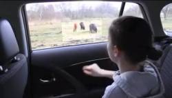 Vitres multim&eacute;dia tactiles dans les voitures de demain ? | simulateurs | Scoop.it