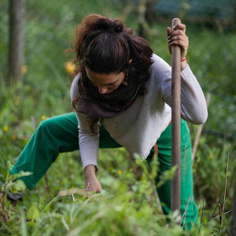 PORTUGAL Regenerating Abundance with Permaculture | CIHEAM Press Review | Scoop.it