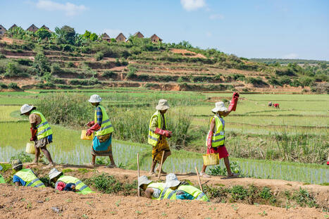 Seguridad y salud en el trabajo | Seguridad, Salud y SIG | Scoop.it