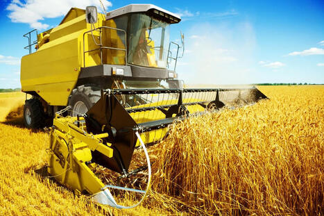 KAZAKHSTAN: Grain harvest nears 20 mt despite dry weather | Revue de presse - Club DEMETER | Scoop.it