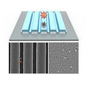 Microscope that detects individual viruses could power rapid diagnostics | Amazing Science | Scoop.it