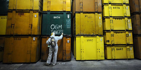 Les OGM bannis par la majorit&eacute; des pays europ&eacute;ens | ACTUALIT&Eacute; | Scoop.it