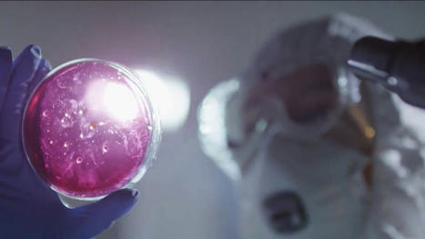 This Fungal Infection Is Spreading Due Climate Change, Researchers Say – NBC Washington | Operation Deimos | Scoop.it