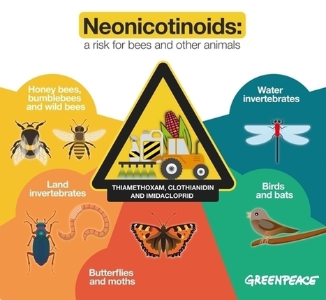 Néonicotinoïdes : un danger sous-estimé | EntomoNews | Scoop.it