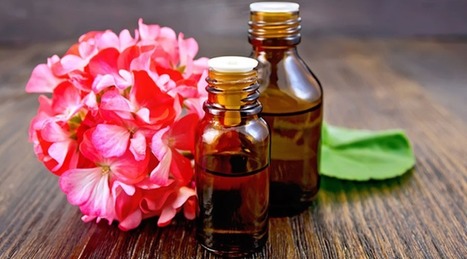 Le géranium Bourbon : une huile essentielle prodigieuse pour la peau | La Cabane aux Arômes | Scoop.it
