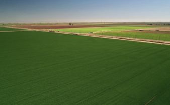 US: Foreign ownership of agricultural land comes under new scrutiny | AM&Eacute;RIQUES | Scoop.it