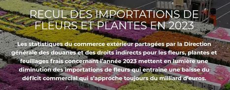 Recul des importations de fleurs et plantes en 2023 | HORTICULTURE | Scoop.it