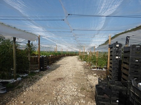 L&rsquo;agriculture urbaine hors sol, un outil pour revitaliser les villes? | Urbanisme - Am&eacute;nagement | Scoop.it