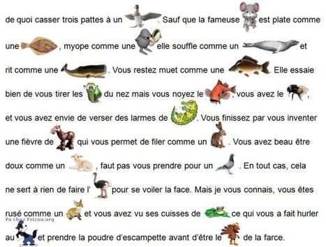 Les expressions animales en images et en texte | FLE CÔTÉ COURS | Scoop.it
