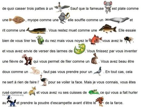 Les expressions animales en images et en texte | TICE et langues | Scoop.it