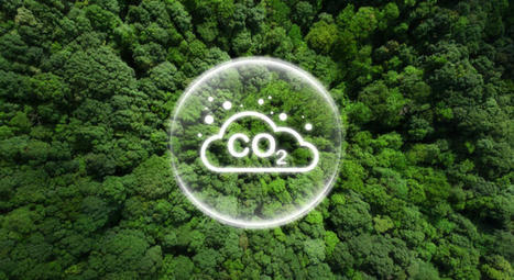 Wie Klimalink für Transparenz bei den Emissionen sorgen soll | Marketing | Tourisme Durable - Slow | Scoop.it