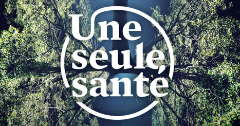 Maladies émergentes et changement climatique : participez à la conférence « Une seule santé » le 23 mars à Montpellier | EntomoScience | Scoop.it