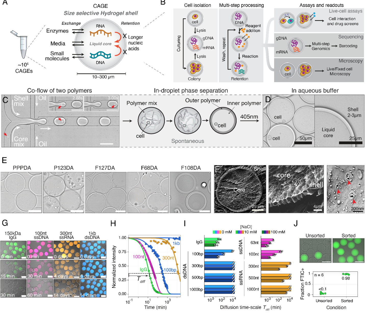 Multistep genomics on single cells and live cul...