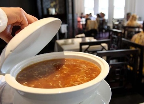 Chinese New Year causes shark fin feeding frenzy | OUR OCEANS NEED US | Scoop.it