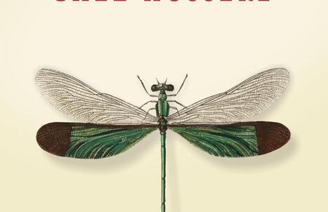 Azul Katz : Fantaisie et imagination chez Husserl | Les Livres de Philosophie | Scoop.it