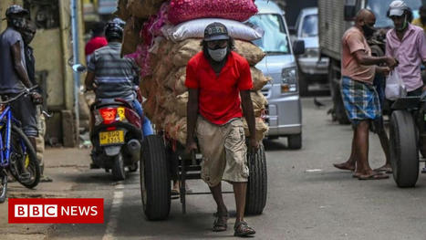 Sri Lanka in economic emergency as food prices soar | Development Economics | Scoop.it