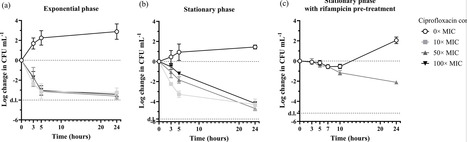 A high-throughput assay identifies molecules with antimicrobial activity against persister cells | Msc | RMH | Scoop.it