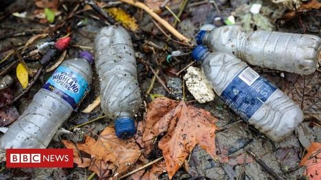 River Thames 'severely polluted with plastic' | Stage 5 Environmental Change: Riverine Environments | Scoop.it