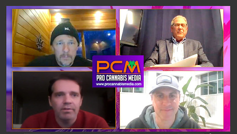 Cannabis CEO Roundtable - Bruce Linton, Joe Lusardi, and Chris Walsh Talk Cannabis on Weed Talk LIVE | Cannabis.Net | Scoop.it