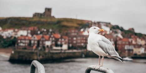 Staying at work longer – a matter of geography? | ICLS media and publications | Scoop.it