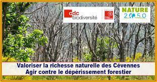 Nature 2050 : le programme de CDC Biodiversité lance son premier chantier de restauration écologique | Les Colocs du jardin | Scoop.it
