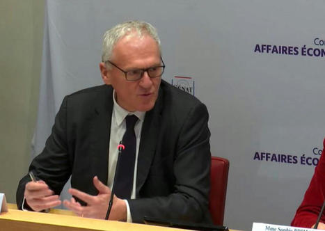 S'adapter aux nouvelles formes du commerce : les propositions du S&eacute;nat | Am&eacute;nagement & d&eacute;veloppement &eacute;conomique. Urbanisme, foncier & Habitat | Scoop.it