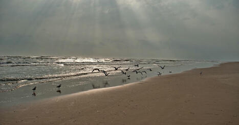 Texas beach town worried about FEMA cuts | exTRA by the Trinity River Authority of Texas | Scoop.it
