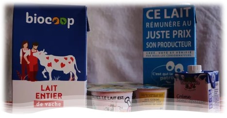 Les ventes de produits laitiers équitables augmentent dans un rayon en recul | Lait de Normandie... et d'ailleurs | Scoop.it