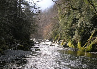 Vidange du barrage du Rioumajou : résultats du suivi environnemental... | Vallées d'Aure & Louron - Pyrénées | Scoop.it