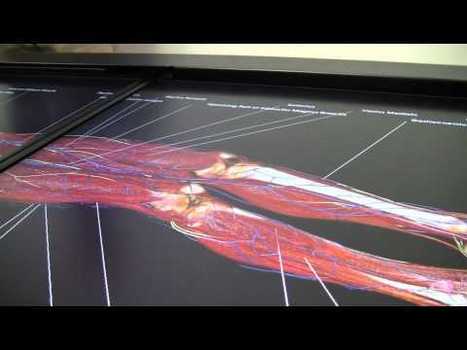 Teaching Anatomy in the 21st Century, 3d interactive virtual dissection table | ElectricTV.com | 21st Century Learning and Teaching | Scoop.it
