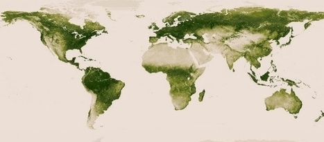 Nuevo mapa interactivo de la vegetación del planeta - Noticias educ.ar | Las TIC en la Educación | Scoop.it