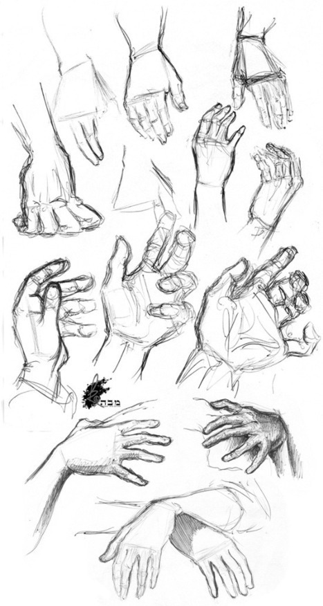 Useful Hand Drawing References, Guide and Tutorials | Drawing References and Resources | Scoop.it