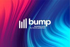 Bilan Pub 2025 : le digital tire le march&eacute;, les m&eacute;dias accusent le coup | DocPresse ESJ Lille | Scoop.it