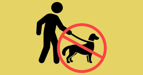 Republicans Want to Ban Pets From Domestic Violence Shelters – MotherJones.com | Operation Oya | Scoop.it