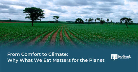 FOOD : Op-Ed | From Comfort to Climate: Why What We Eat Matters for the Planet | CIHEAM Press Review | Scoop.it