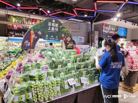 CHINE: de plus en plus de fans du bio | ALIMENTATIONS | Scoop.it