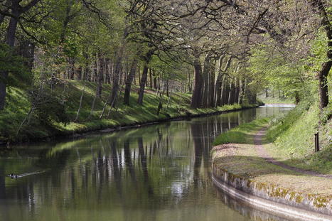Vers un classement des abords du Canal du Midi en 2014 - Lagazette.fr | Chronique des Droits de l'Homme | Scoop.it
