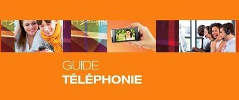 NetPublic » Guide CNIL téléphonie fixe et mobile pour faire respecter ses droits | mlearn | Scoop.it