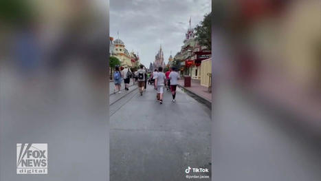 'Disney Adults' debate rages online after viral video of woman 'ugly crying' at Disney park: 'Like a religion' | consumer psychology | Scoop.it